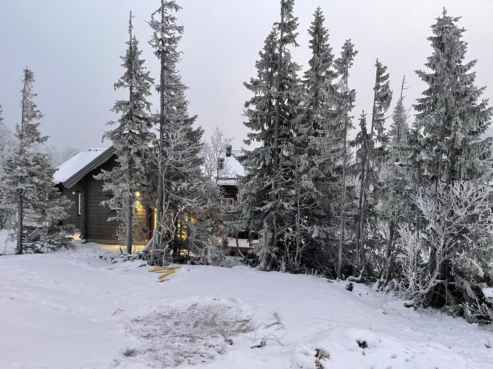 Mountain Holiday Homes - Ottsjoe, Trillevallen -Sweden Оре Номер фото