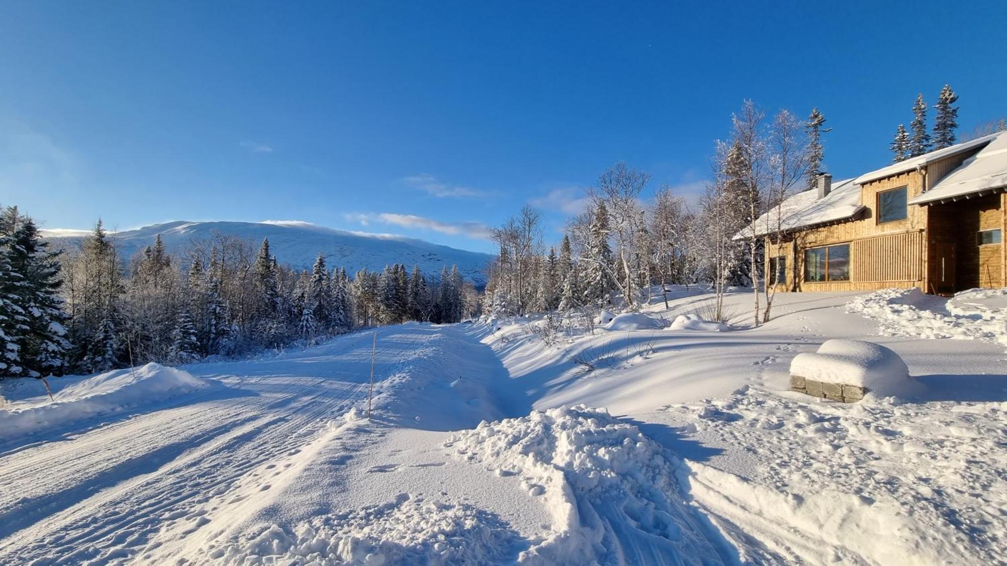 Mountain Holiday Homes - Ottsjoe, Trillevallen -Sweden Оре Номер фото